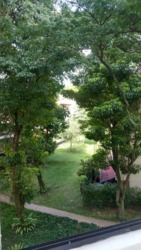 Sommerville Park (D10), Condominium #172047622